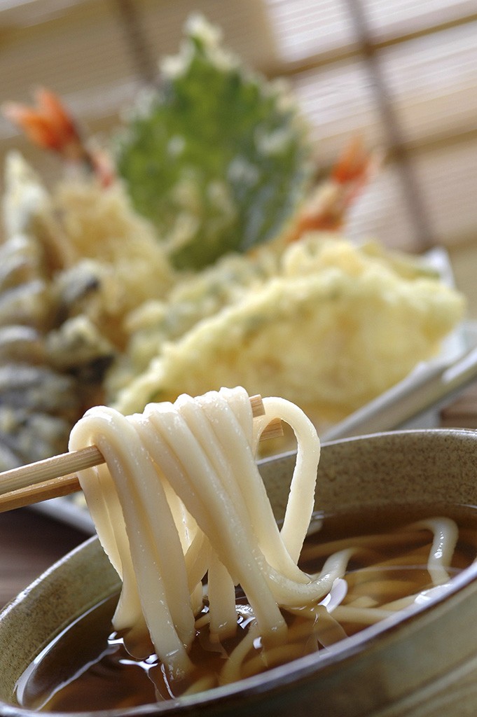 Udon Noodles